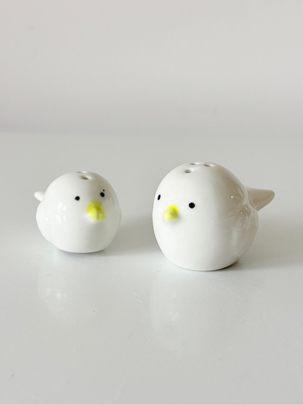 Kate Aspen Feathering The Nest Ceramic Birds Salt and Pepper Shakers
